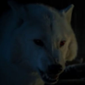 Meet your Posher, Wili